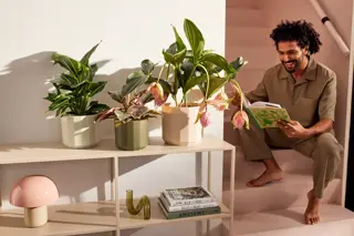 Elho Pot Facet D14cm Bos Groen - afbeelding 7