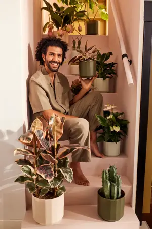 Elho Pot Facet D17cm Bos Groen - afbeelding 7