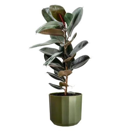 Elho Pot Facet D23cm Bos Groen - afbeelding 3