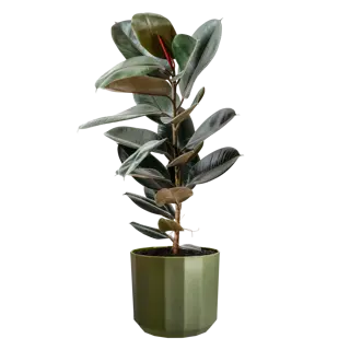 Elho Pot Facet D26cm Bos Groen - afbeelding 4