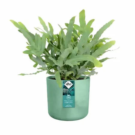 Elho - Pot The Ocean Collection - Pacific Groen D22cm - afbeelding 4