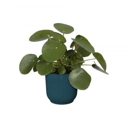 Elho - Pot Vibes 14 cm diepblauw - afbeelding 3