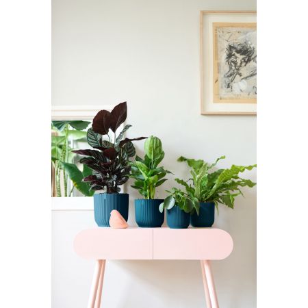 Elho - Pot Vibes 14 cm diepblauw - afbeelding 4