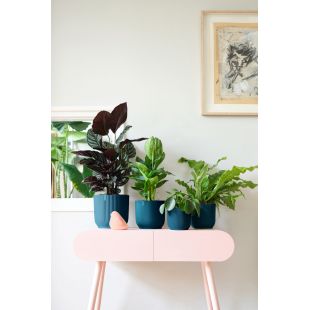 Elho - Pot Vibes 14 cm diepblauw - afbeelding 4