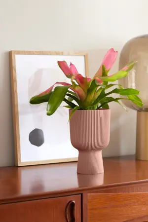 Elho - Pot Vibes Fold Coupe D14cm - Delicaat Roze - afbeelding 5