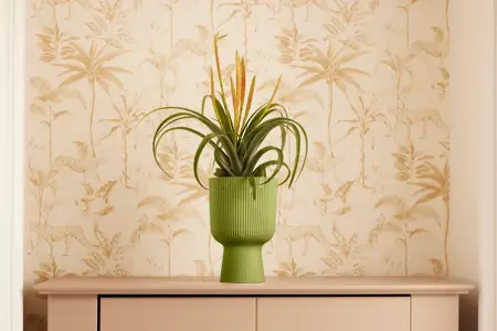 Elho - Pot Vibes Fold Coupe D14cm Varengroen - afbeelding 5
