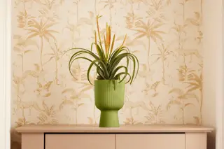 Elho - Pot Vibes Fold Coupe D14cm Varengroen - afbeelding 5