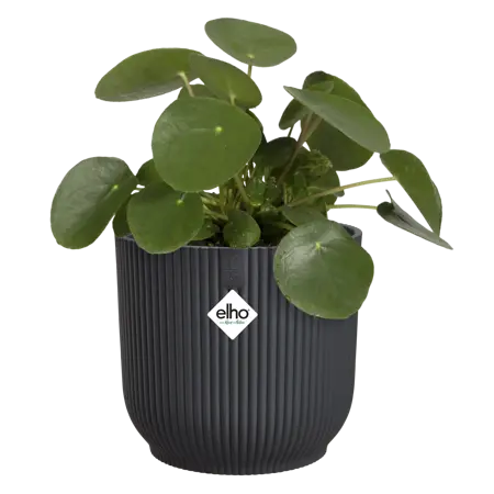 Elho - Pot Vibes Fold D16 cm - Antraciet - afbeelding 2