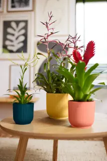 Elho - Pot Vibes Fold D16 cm - Delicaat Roze - afbeelding 10
