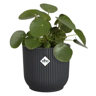 Elho - Pot Vibes Fold D18 cm - Antraciet - afbeelding 2