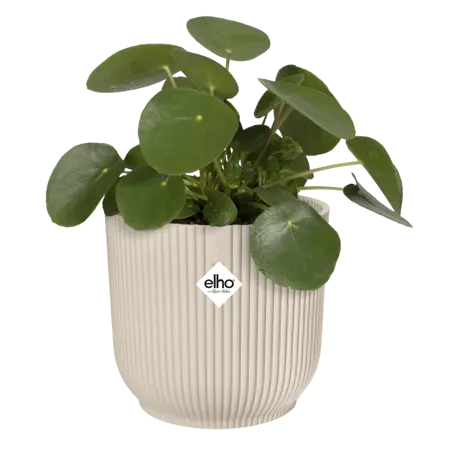 Elho - Pot Vibes Fold D22 cm - Linnen Wit - afbeelding 2