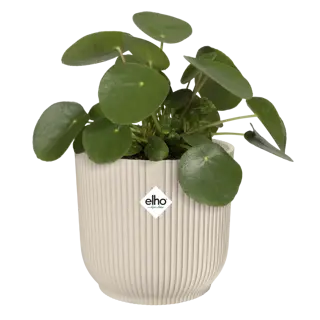 Elho - Pot Vibes Fold D22 cm - Linnen Wit - afbeelding 2