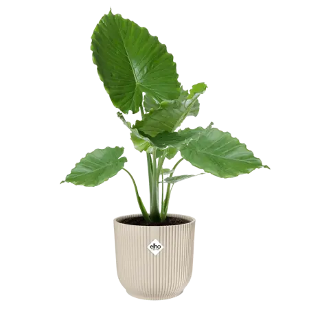 Elho Pot Vibes Fold - D30cm - Linnen Wit - afbeelding 4
