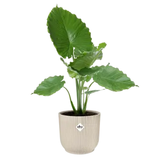 Elho Pot Vibes Fold - D30cm - Linnen Wit - afbeelding 4