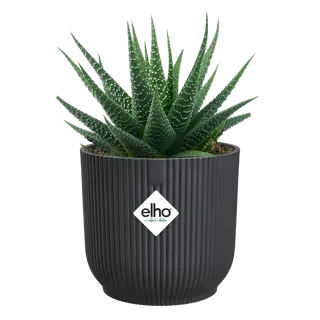 Elho - Pot Vibes Fold Mini D11 cm - Antraciet - afbeelding 2