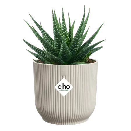 Elho - Pot Vibes Fold Mini D9 cm - Linnen Wit - afbeelding 2