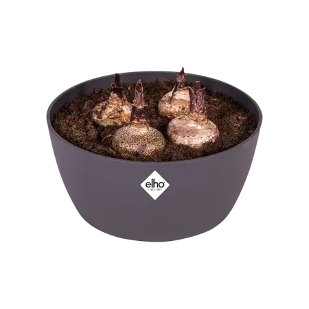 Elho - Schaal Brussels D23cm Antraciet - afbeelding 3