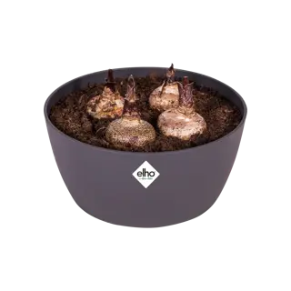 Elho - Schaal Brussels D23cm Antraciet - afbeelding 4