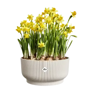 Elho Schaal Vibes Fold - D25cm - Linnen Wit