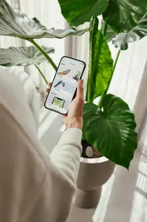 Elho Smart Pebble - Aardebruin - Plantensensor met App - afbeelding 4