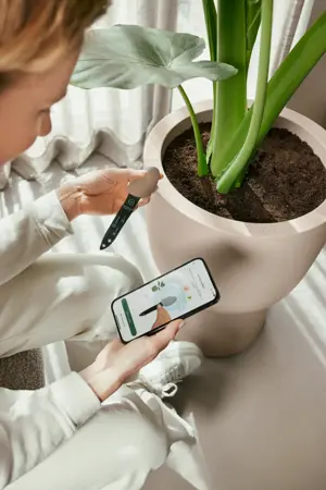 Elho Smart Pebble - Aardebruin - Plantensensor met App - afbeelding 7