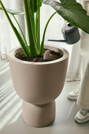 Elho Smart Pebble - Aardebruin - Plantensensor met App - afbeelding 8