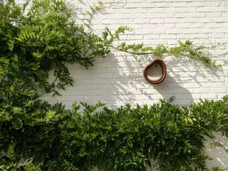 Elho Voedersilo Organic 25cm Bruin - afbeelding 4