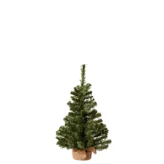 Everlands Imperial Mini Boom H60 cm - groen - afbeelding 4
