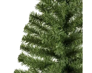 Everlands Imperial Mini Boom H60cm - afbeelding 4
