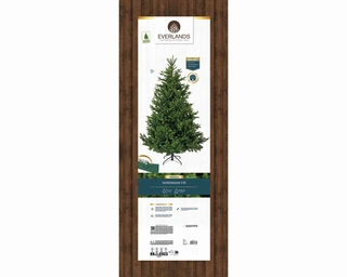 Everlands Kunstkerstboom Nordmann Fir - H210cm - afbeelding 2