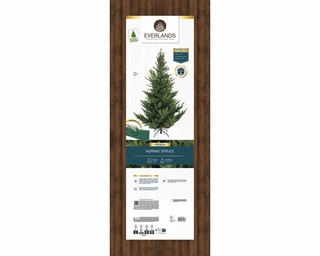 Everlands Kunstkerstboom Norway Spruce - H180cm - afbeelding 2