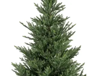 Everlands Kunstkerstboom Norway Spruce - H180cm - afbeelding 5
