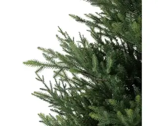 Everlands Kunstkerstboom Norway Spruce - H180cm - afbeelding 6