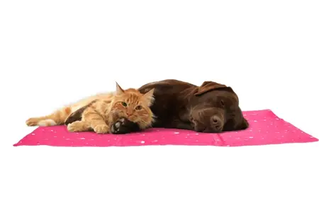 Flamingo Koelmat Hond Fuchsia L 90x50cm - afbeelding 4