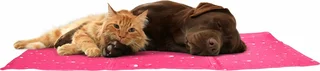 Flamingo Koelmat Hond Fuchsia S 50x40cm - afbeelding 4