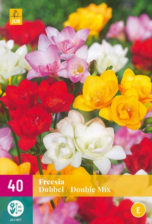 Freesia Dubbel Mix - 40 bloembollen
