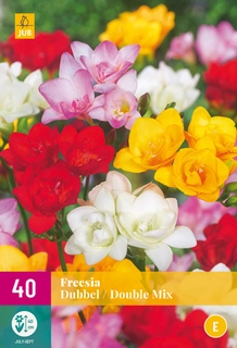 Freesia Dubbel Mix - 40 bloembollen