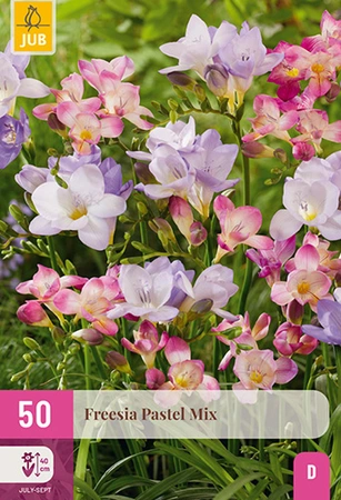 Freesia Pastel Mix 50st