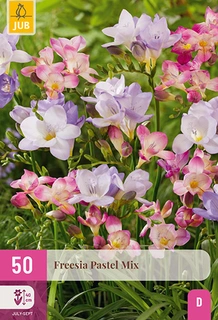 Freesia Pastel Mix 50st