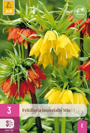 Fritillaria imperialis Mix - 3 bloembollen