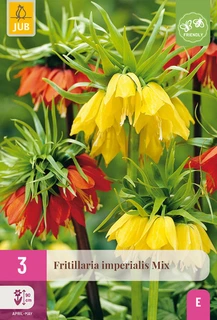 Fritillaria imperialis Mix - 3 bloembollen