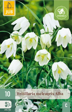 Fritillaria Meleagris Alba - 10 bloembollen