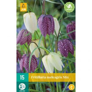 Fritillaria meleagris Mix - 15 bloembollen