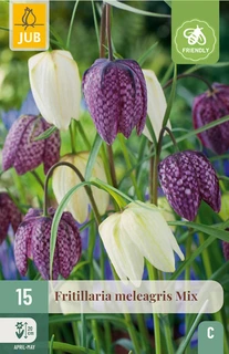 Fritillaria meleagris Mix - 15 bloembollen