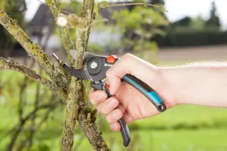 GARDENA Comfort Snoeischaar Aambeeld - afbeelding 3