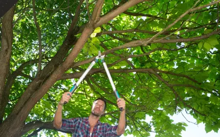 GARDENA Takkenschaar Easycut 680 B - afbeelding 5