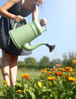 Gieter Lungo 12 liter - Oudgroen - afbeelding 2