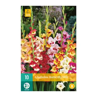 Gladiolus Butterfly Mix 10st