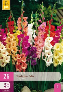 Gladiolus Mix 25st