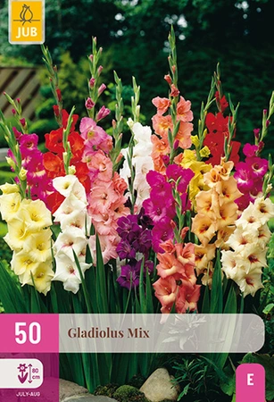 Gladiolus Mix 50st